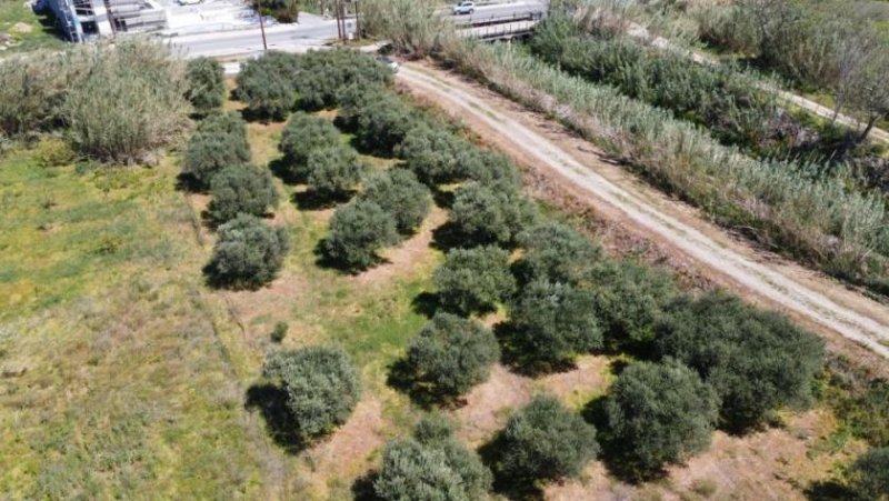 Kolymvari Kreta, Kolymvari: Grundstück nahe eines Sandstrandes zu verkaufen Grundstück kaufen